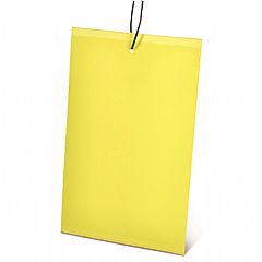 מדבקות לוח צהובות ללכידת זבובים - 10 מדבקות במארז